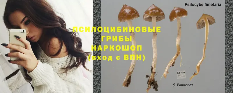 Галлюциногенные грибы MAGIC MUSHROOMS  кракен как зайти  Беломорск 